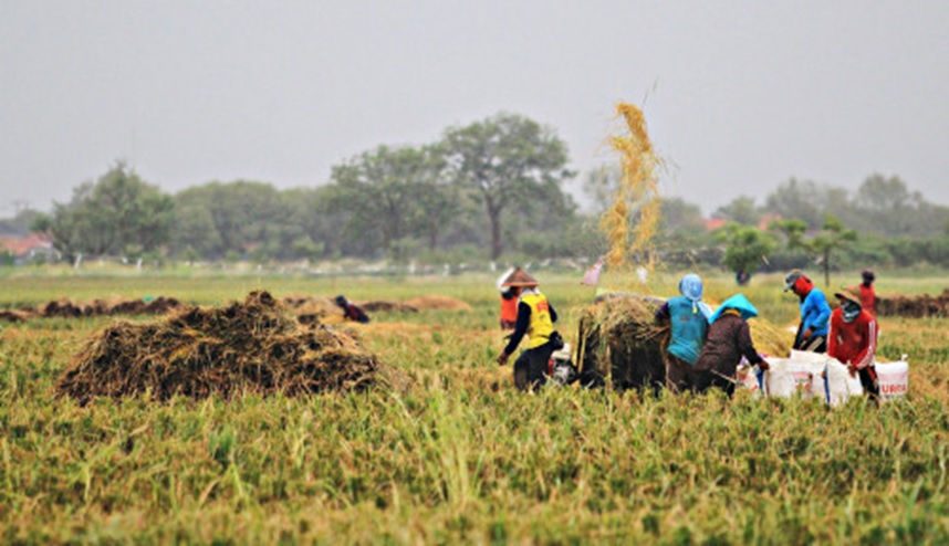 Potensi ekonomi dan sosial